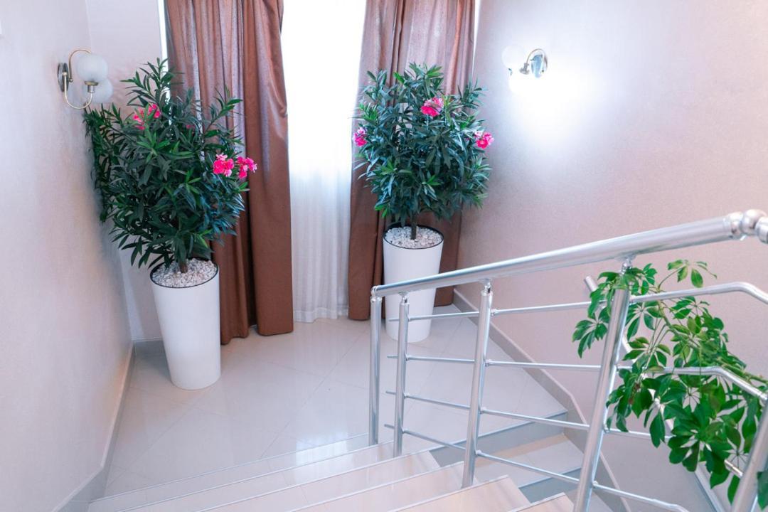 Hotel Zeleni Vir Ni 외부 사진